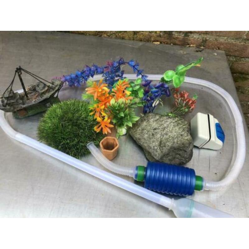 Aquarium met verlichting en accessoires op zwarte poot.