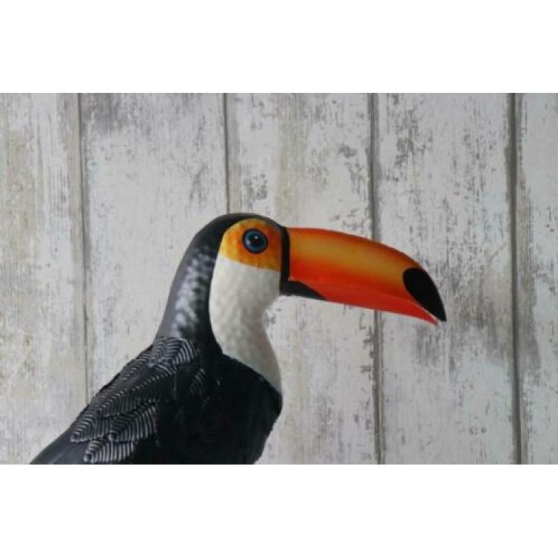 Metalen dieren Toekan dierenbeeld dierenfiguur vogelbeeld
