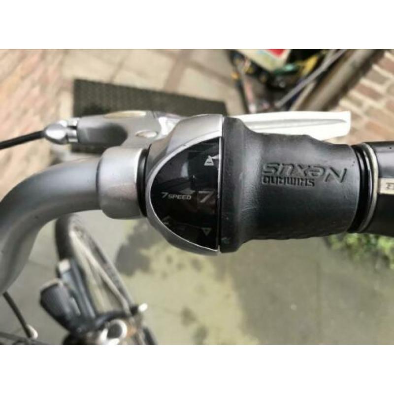 Batavus mambo