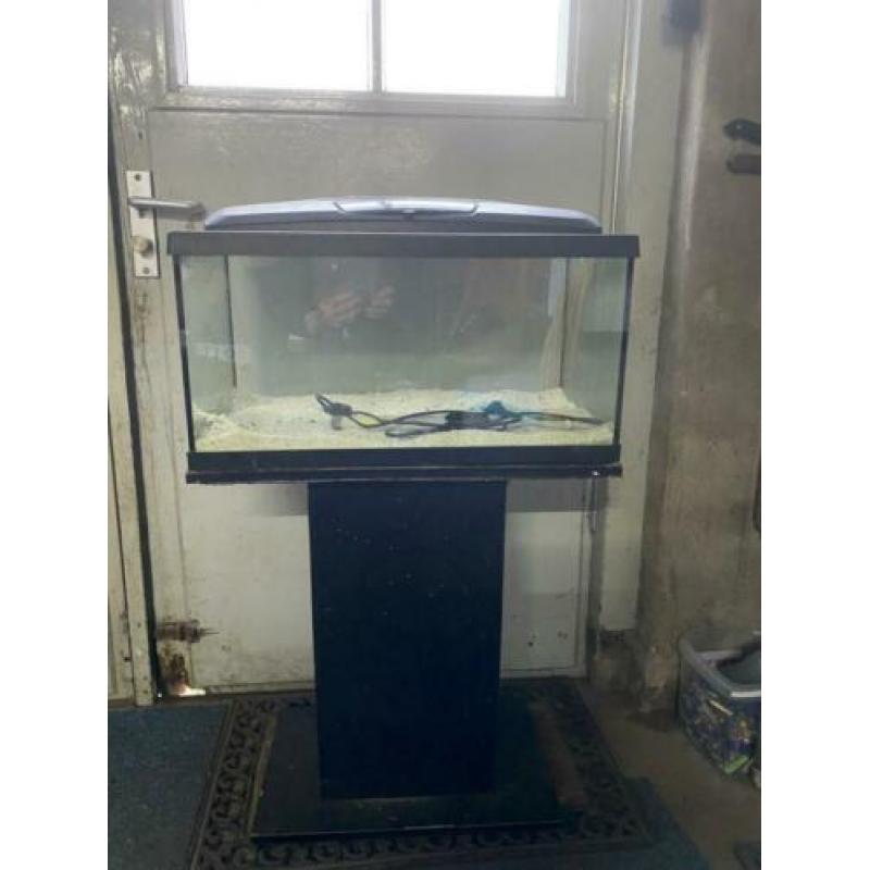 Aquarium met verlichting en accessoires op zwarte poot.