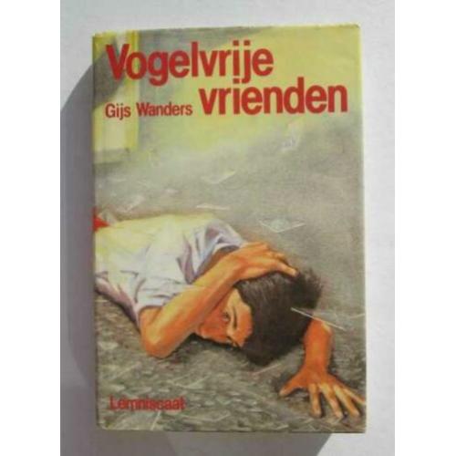 Jeugdroman Lemniscaat 417: G. Wanders - Vogelvrije vrienden