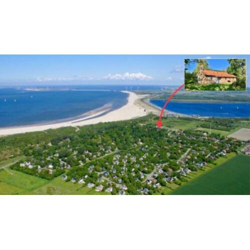 6p vakantiehuis onder duinen 150m van strand&zee in Zeeland!