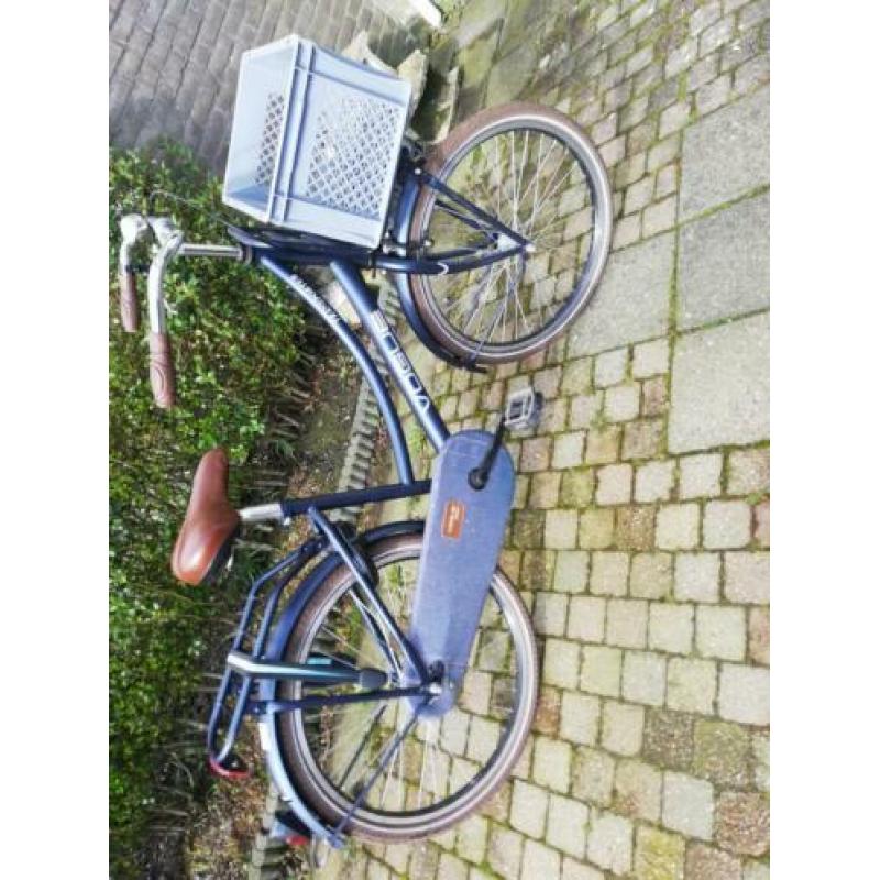 Mooie Vogue transporter fiets met krat