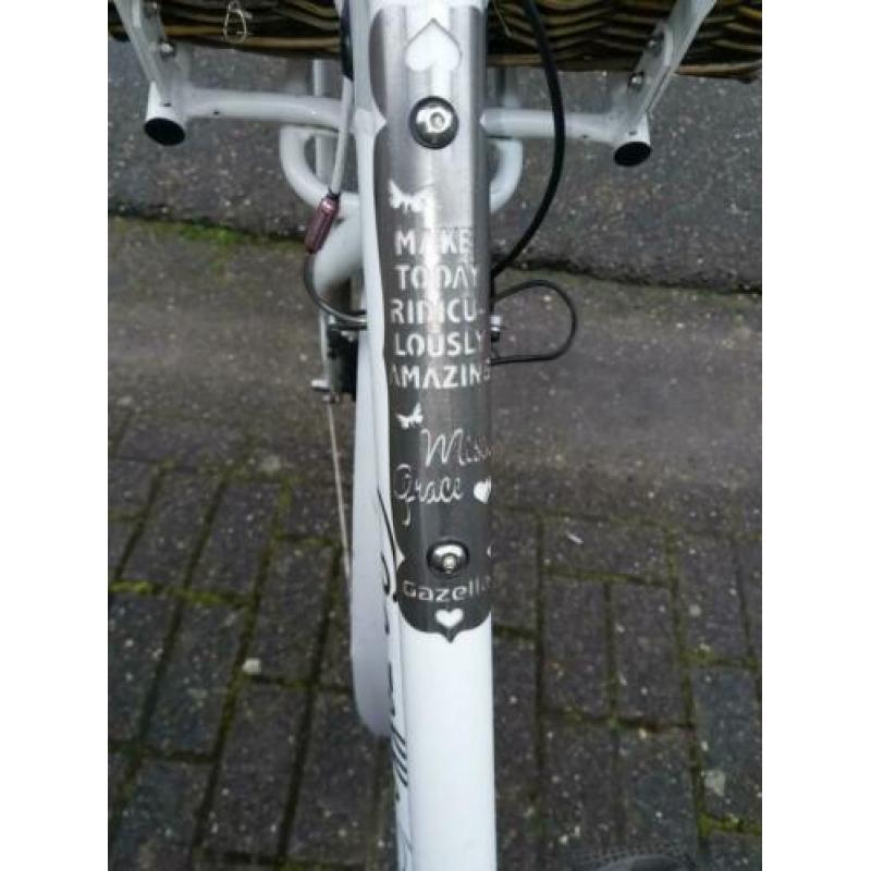 Te koop elektrische Gazelle