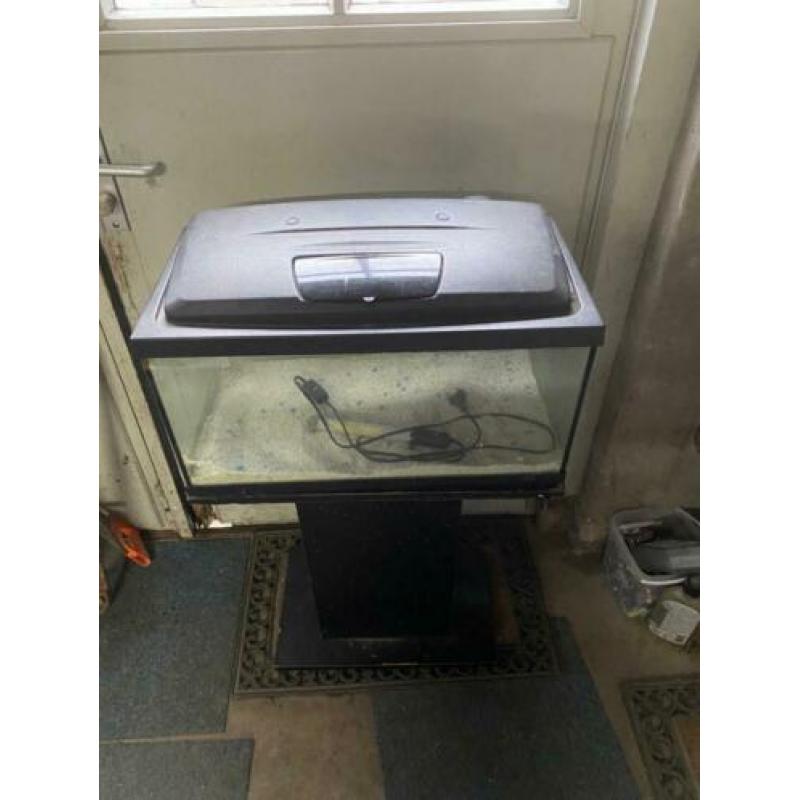 Aquarium met verlichting en accessoires op zwarte poot.