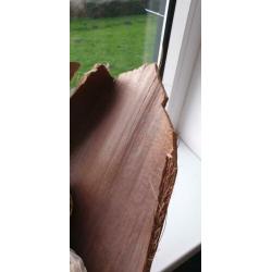 Groot bananen blad ter decoratie