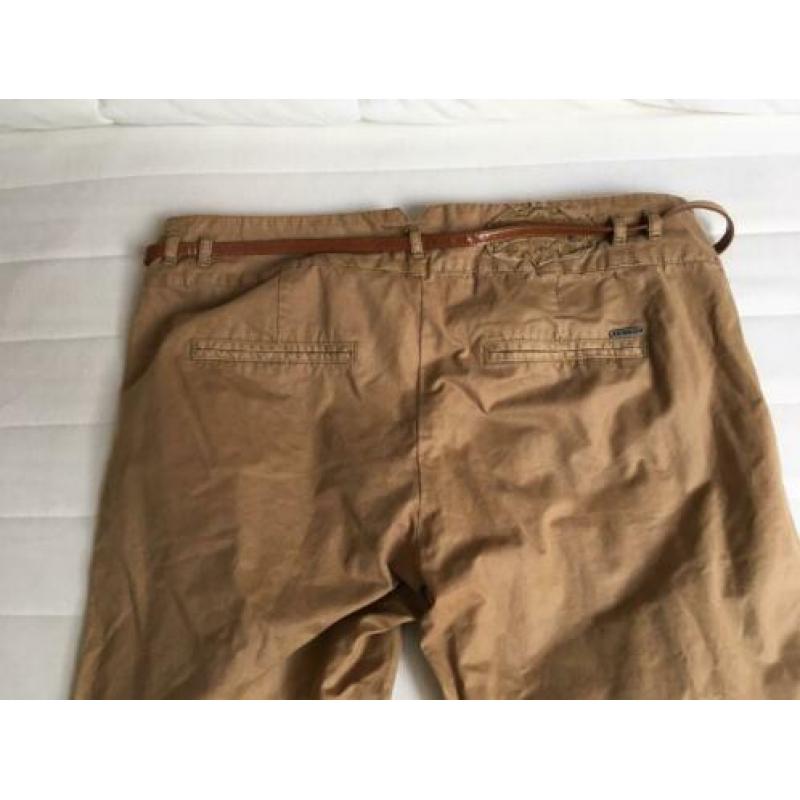 Il Dolce dames chino maat 42