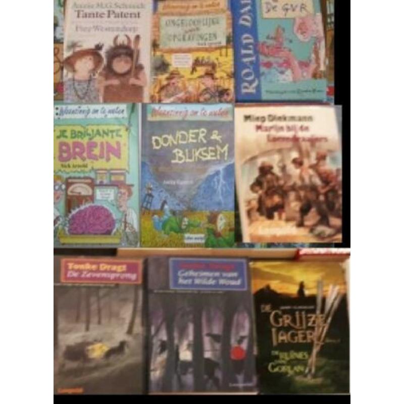 30 x Tonke Dragt, Dissus, Roald Dahl,Imme Dros,Jacques Vrien