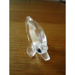 Te koop van Swarovski de Vlindervis