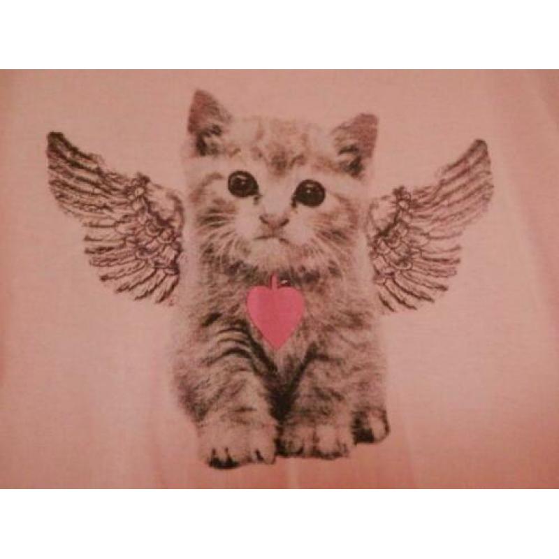 Roze poezenshirt met lange mouw. Maat : 122/128
