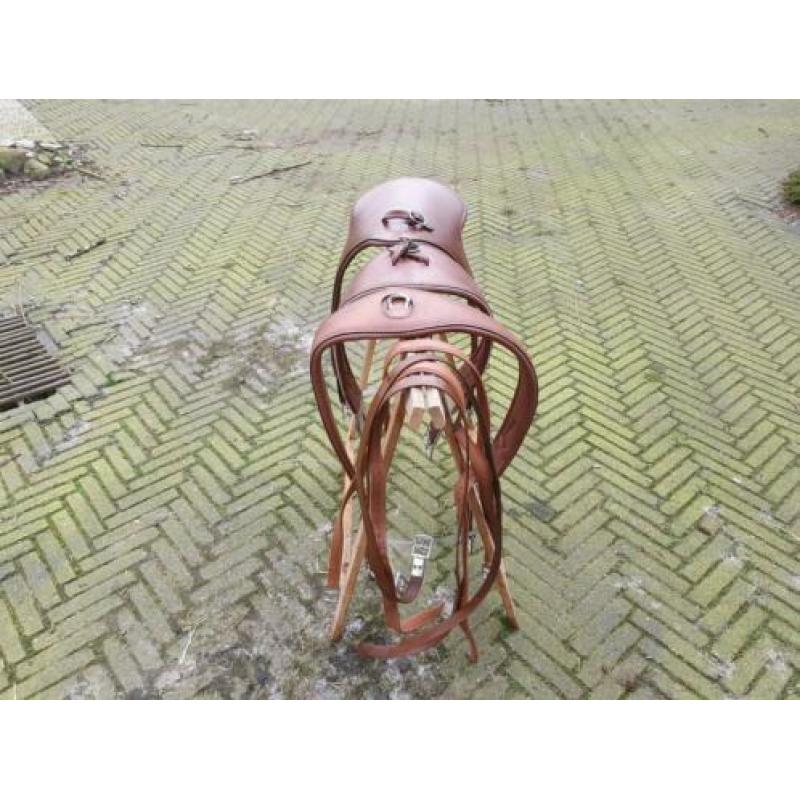 Wintec 500 springzadel 17,5'' incl toehoren