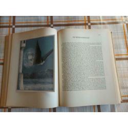Hans Christian Andersen sprookjes en vertellingen uit 1975