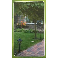 Tuinlantaarn 2 stuks