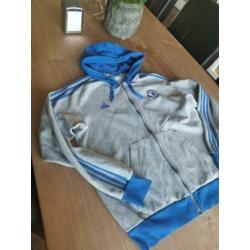 Adidas vest maat XL grijs /blauw €7,5