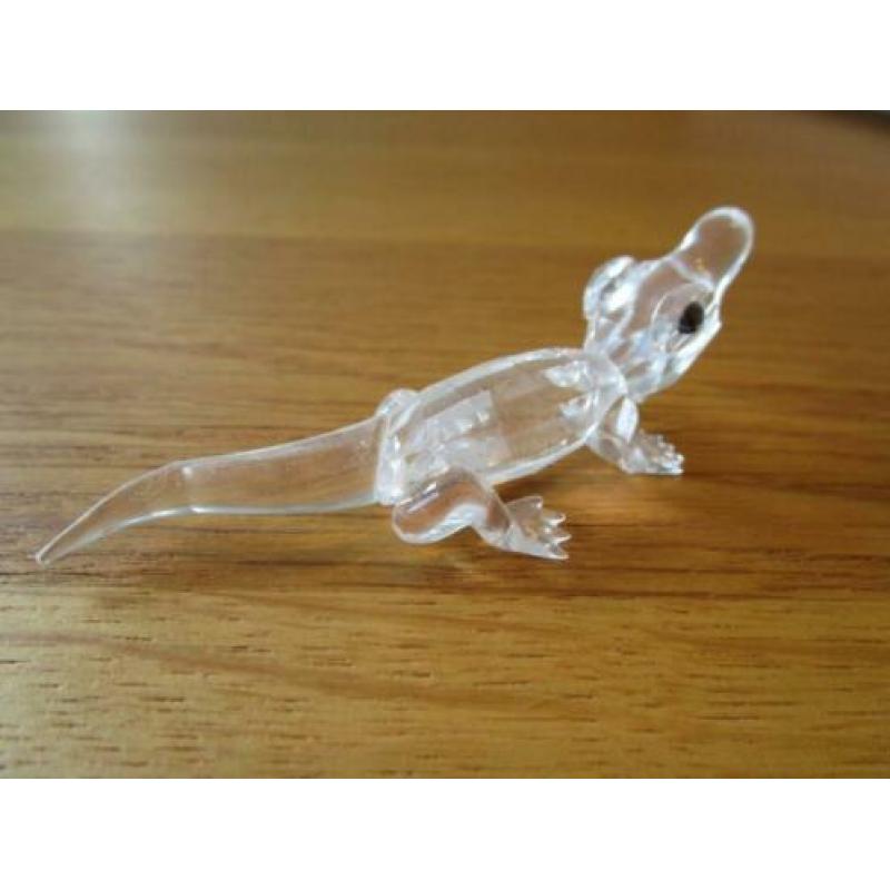Te koop van Swarovski de Alligator mini