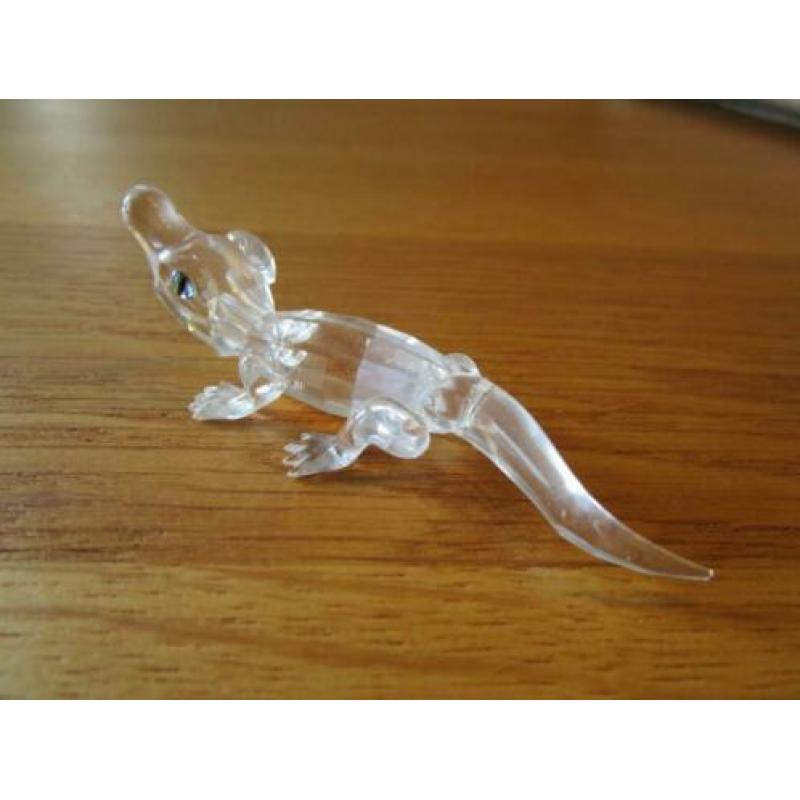 Te koop van Swarovski de Alligator mini