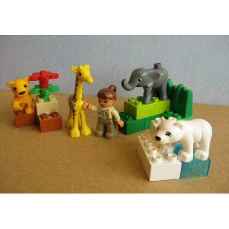 Duplo 4962 Baby Dierentuin (giraffe olifant tijger ijsbeer)