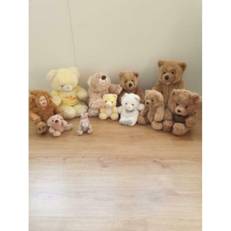 11 hele mooie beren