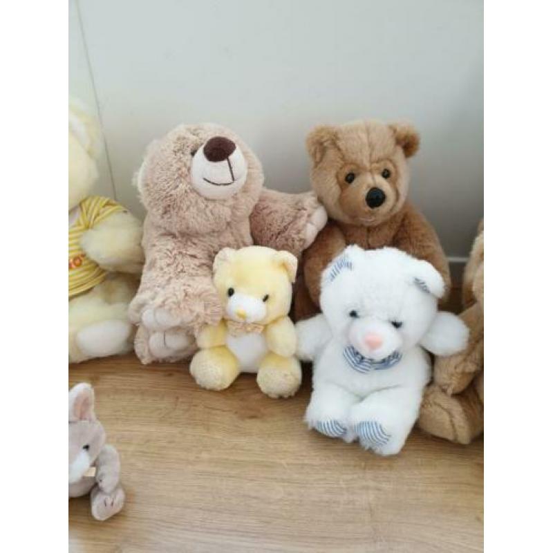11 hele mooie beren