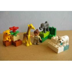 Duplo 4962 Baby Dierentuin (giraffe olifant tijger ijsbeer)