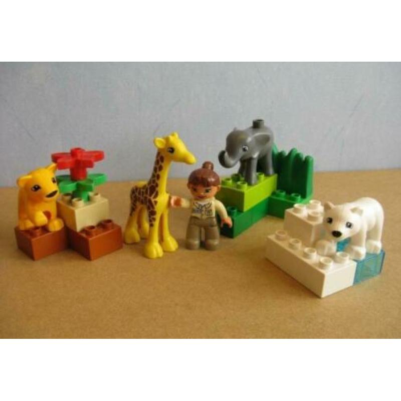 Duplo 4962 Baby Dierentuin (giraffe olifant tijger ijsbeer)