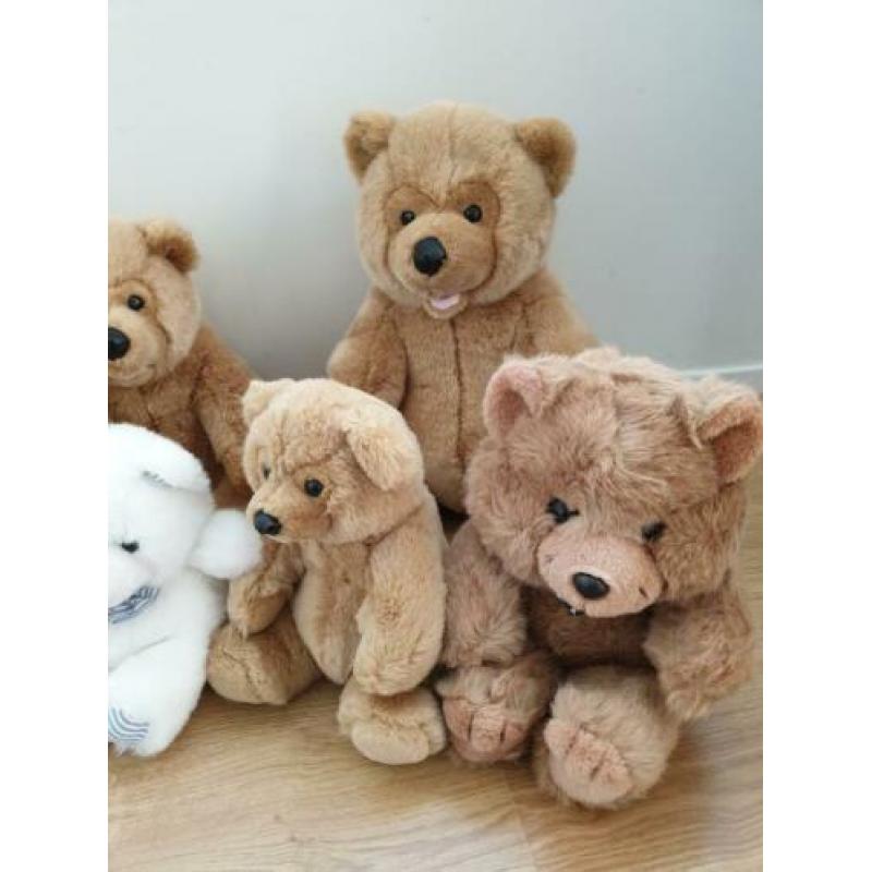 11 hele mooie beren