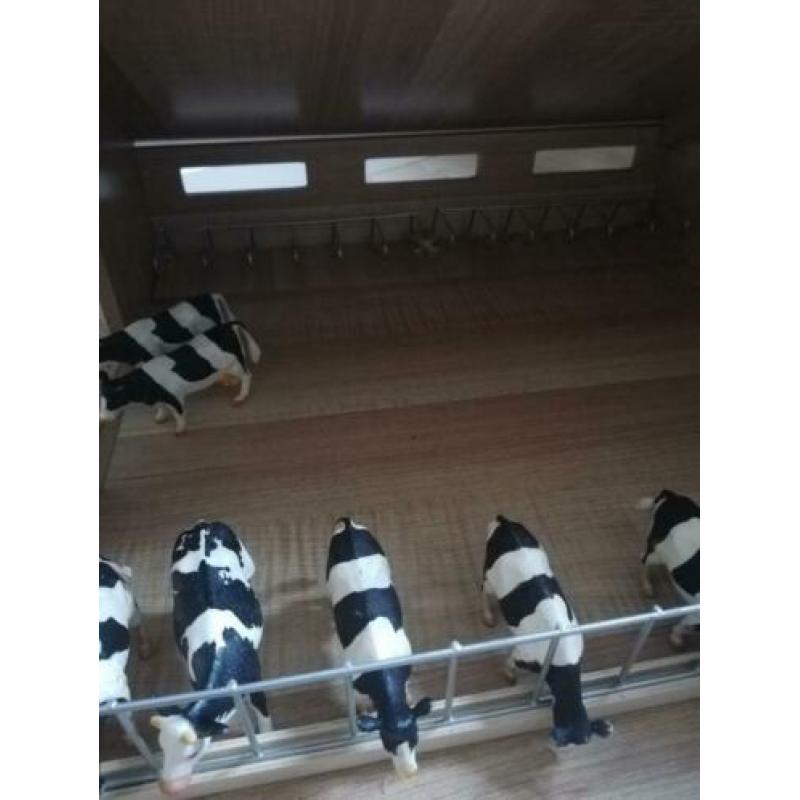 Houten koeienstal