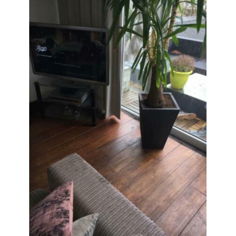 Houten vloer (vuren)