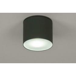 plafondlamp spot grijs of wit zwart badkamerlamp buitenlamp