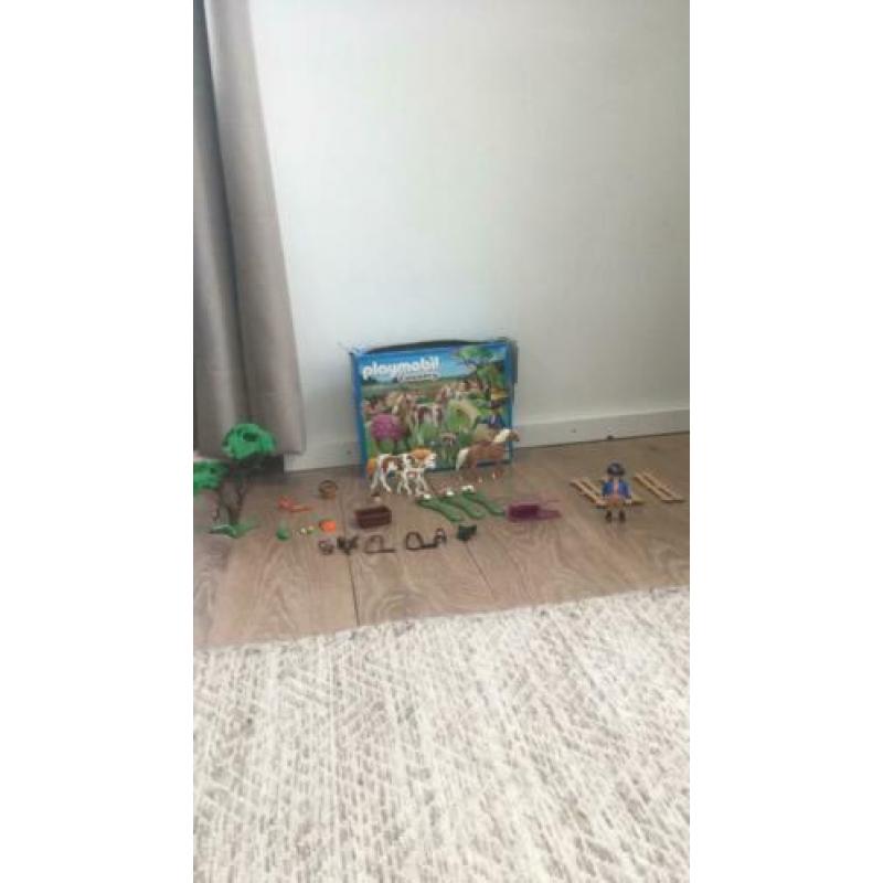 Playmobil manage 5227