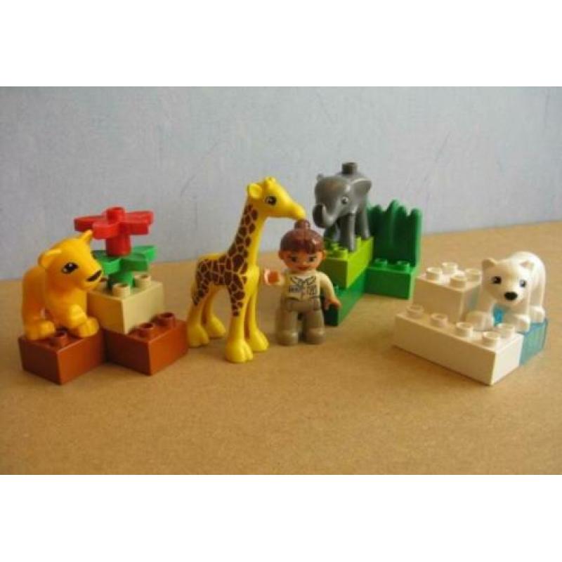 Duplo 4962 Baby Dierentuin (giraffe olifant tijger ijsbeer)