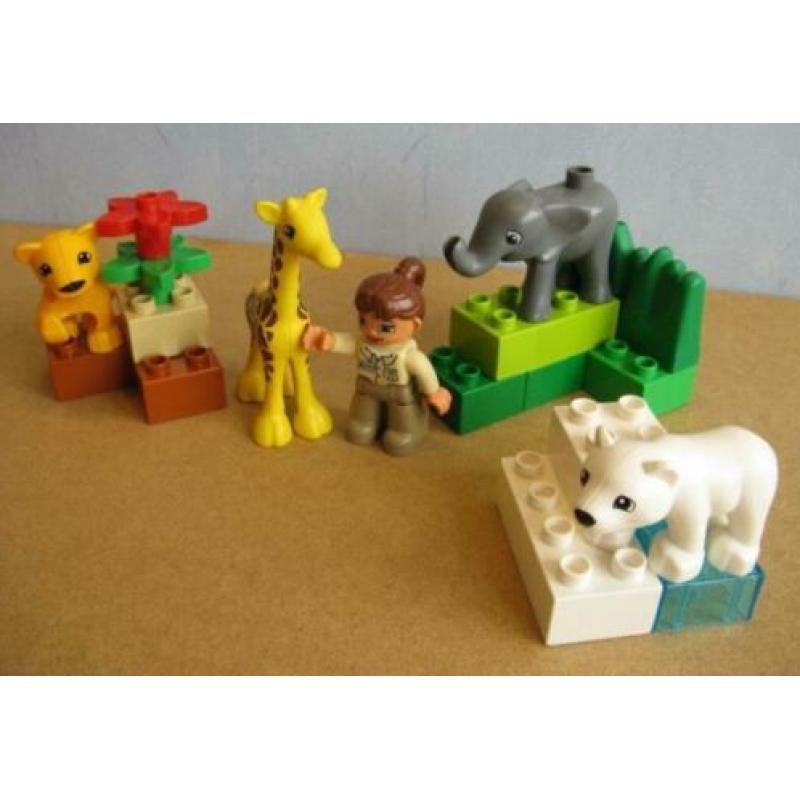 Duplo 4962 Baby Dierentuin (giraffe olifant tijger ijsbeer)