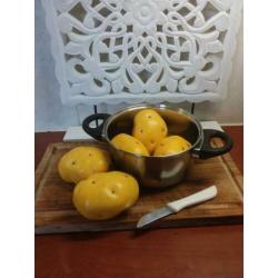 aardappels kunst en nep aardappels decoratie