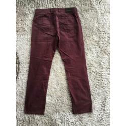Bordeauxrode gardeur broek maat 36/34