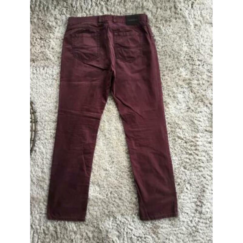 Bordeauxrode gardeur broek maat 36/34