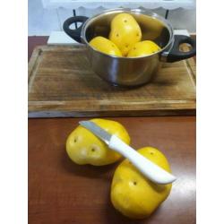 aardappels kunst en nep aardappels decoratie