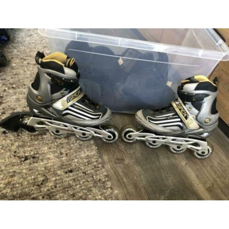 Skeelers maat 38 te koop!