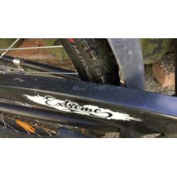 Cruiser specialisten project