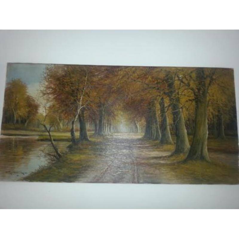 Herfst in het bos olieverf op canvas 80 x 40 cm W. Robbers