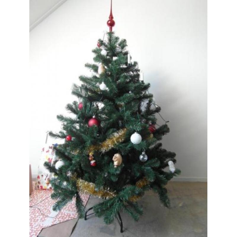 1 jaar oude Kerstboom Triumph Norway 155 cm Hoog