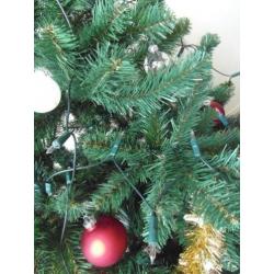 1 jaar oude Kerstboom Triumph Norway 155 cm Hoog