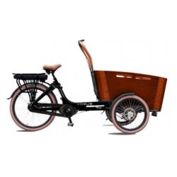 TOP Elektrische Vogue Carry bakfiets middenmotor bakfietsen