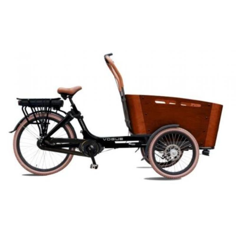 TOP Elektrische Vogue Carry bakfiets middenmotor bakfietsen