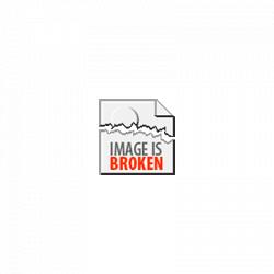 Donald Duck 1961 nr. 10